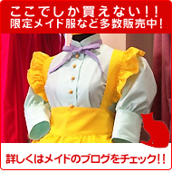 �L�����f�B�t���[�c�H�t���X���C�h���قږ����X�V����